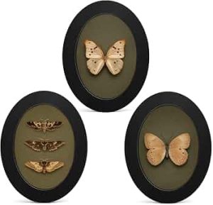 3Pcs Vintage Moody Butterfly Art Oval Small Wall Art Framed Decor