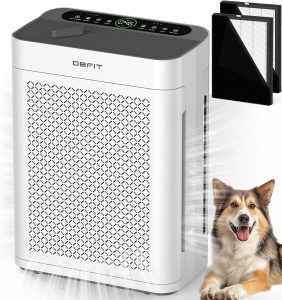 Air Purifiers for Home Large Room up to 3000sq.ft, DBFIT HEPA Double-Sided Air Purifier with Washable Filter, PM 2.5 Display Air Quality Sensor, Air Cleaner for Bedroom, Dorm Room, Pets, Office, AP300