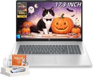 HP 17.3″ FHD Laptop,16GB RAM, 1TB SSD, Ryzen 5 7430U, Windows 11 Pro