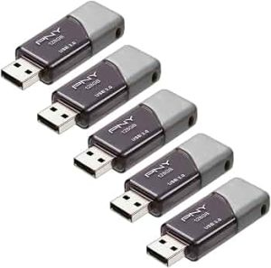 PNY 128GB Turbo Attaché 3 USB 3.0 Flash Drive 5-Pack​
