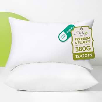Ashler 12×20 Throw Pillow Inserts, Set of 2