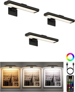 EZVALO RGB Picture Light for Wall, 2400mAh Wireless Rechargeable Color Changing Art Light with Remote, 16 Colors, Dimmable Magnetic LED Display Lights for Painting, Bedroom, Gaming Room (Black-3P)