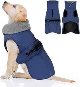Fleece-Lined Dog Winter Coat with Adjustable Buckle