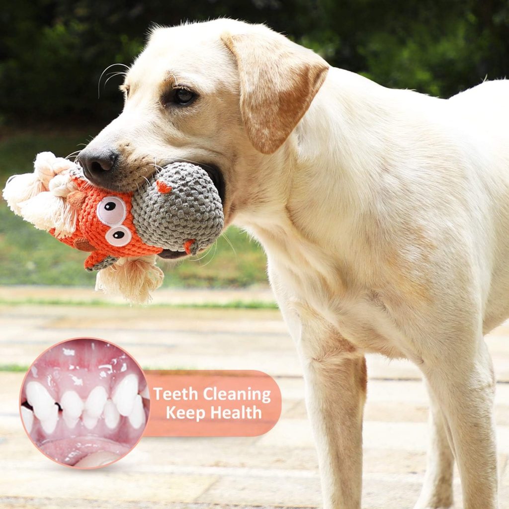 IOKHEIRA Dog Plush Toy for Large Aggressive Chewers,Indestructible Dog Squeaky Toys,Stuffed Animals Toys with Cotton Material and Crinkle Paper,Durable Chewing Toys (Carrot Orange, Cattle)
