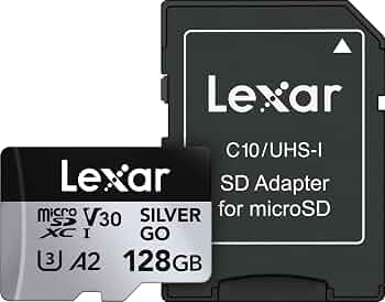 Lexar 128GB Silver GO Micro SD Card, 250MB/s Read, 4K, V30, UHS-I