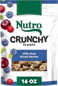 Nutro Crunchy Dog Treats with Real Mixed Berries, 16 oz