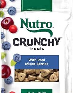 Nutro Crunchy Dog Treats Real Mixed – Nutro Crunchy Dog Treats with Real Mixed Berries, 16 oz (Pets)