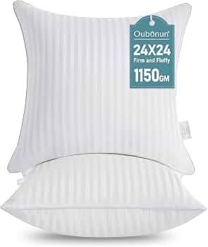 Oubonun 24 x 24 Throw Pillow Inserts Set of 2