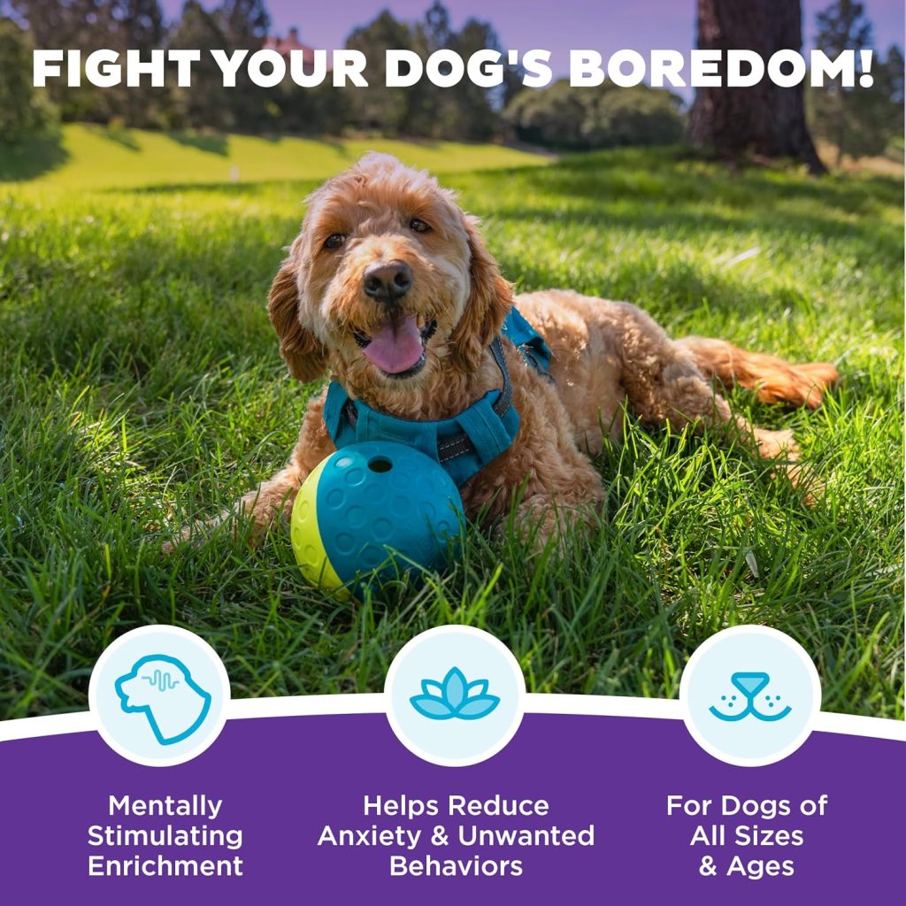 Outward Hound Nina Ottosson Treat Tumble Dog Toy Puzzle Ball, 4.8″