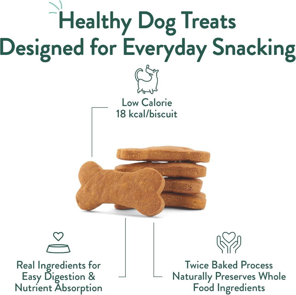 Portland Pet Food Pumpkin Dog Treats – Healthy, Grain-Free Biscuits, 5 oz