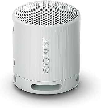 Sony SRS-XB100 Wireless Bluetooth Portable Lightweight Speaker, Light Gray