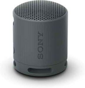 Sony SRS-XB100 Wireless Bluetooth Portable Lightweight Speaker, Black